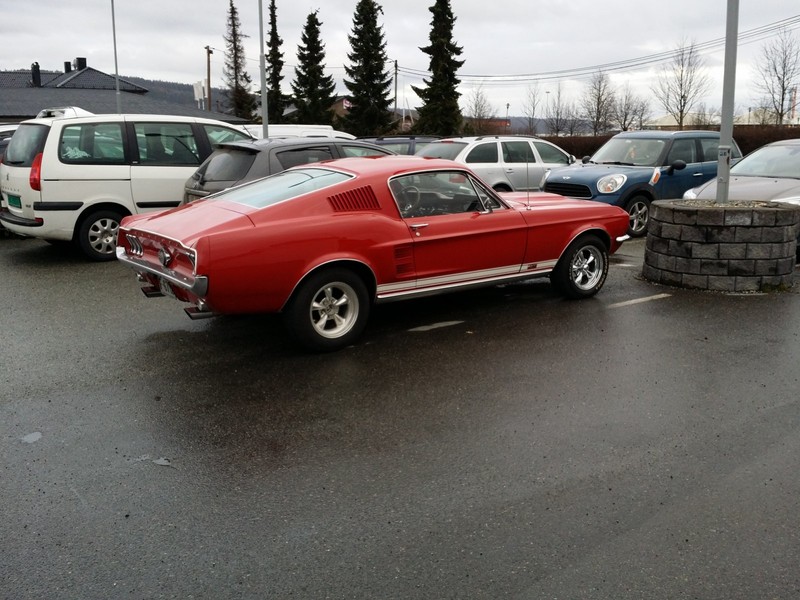 2016-04-07 19.15.27.jpg
