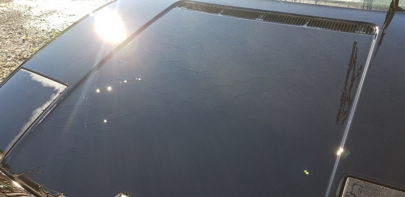20180924_114829.thumb.jpg.772006a58080b7a37db8c66ec9579e24.jpg