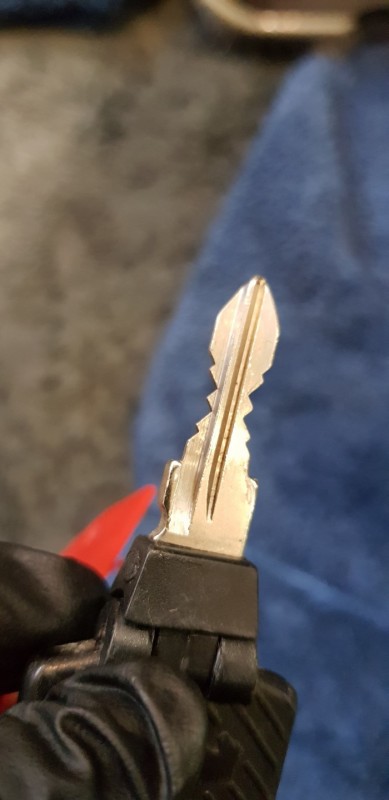 20180925_144755.thumb.jpg.09c21f1a544282848192873e51187fe7.jpg